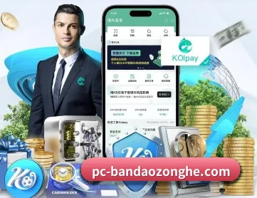半岛综合 APP 深度功能